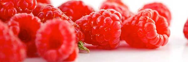 raspberry-ketone-hype