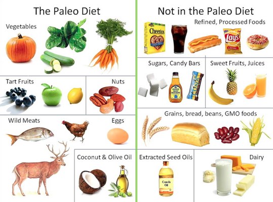 What is the Paleo Diet