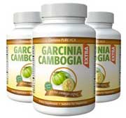 Garcinia extra best Garcinia Cambogia