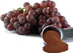 Grape seed extract carb blocker