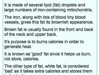 What is brown fat