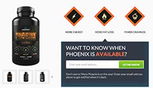 Legion Phoenix website
